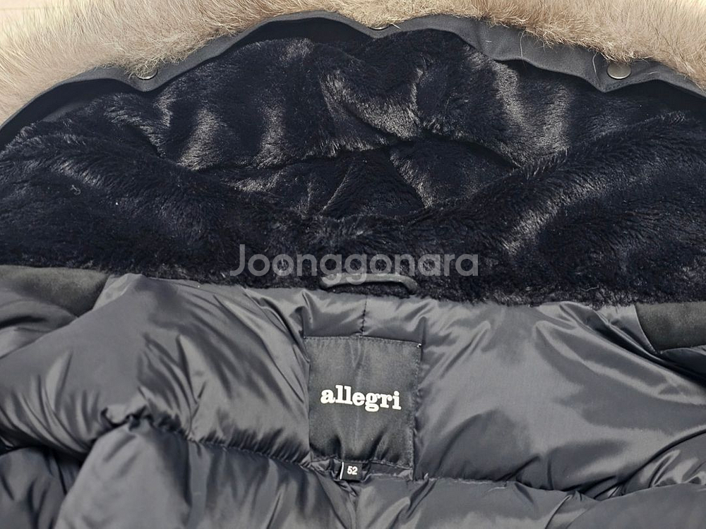 알레그리 폭스퍼 52--4