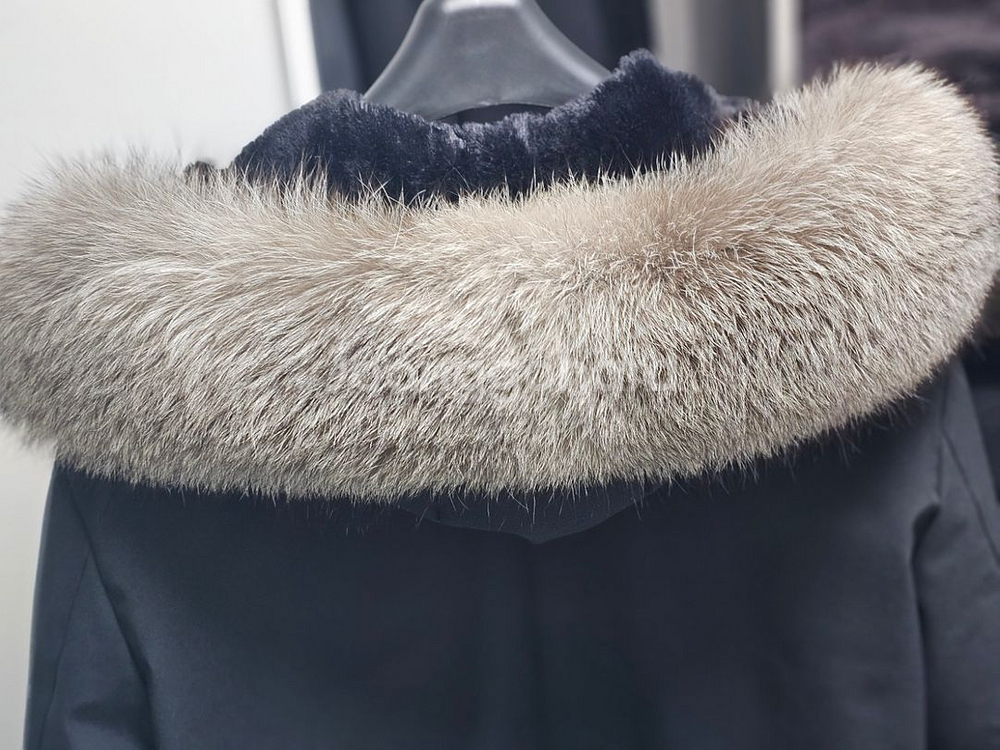 알레그리 폭스퍼 52--5