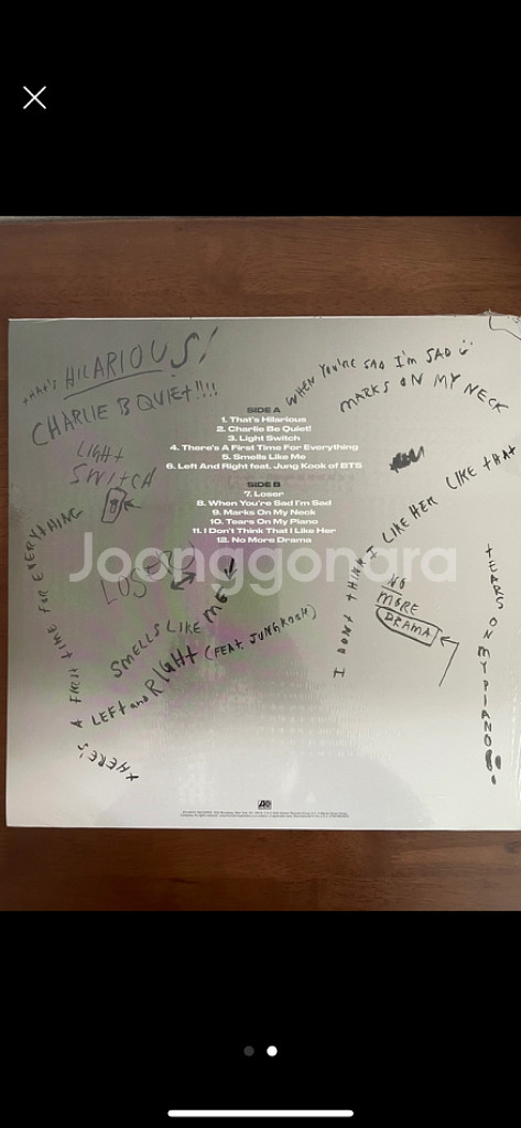 찰리 푸스 lp(블랙)--1
