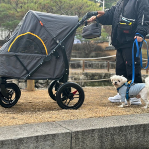 크로노 점보 강아지 유모차 대형견 다견