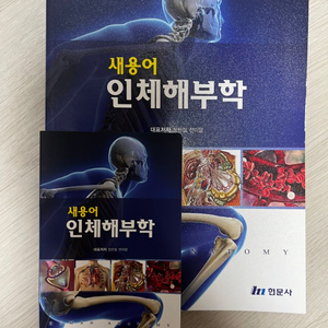 새용어 인체해부학