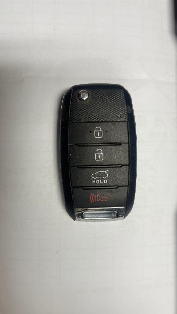 기아 스마트키 이미지