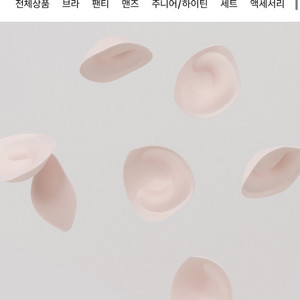 아나콘다 이너웨어 시크릿 패드 B+