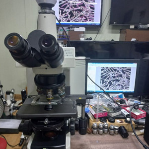니콘3안 위상차현미경 대여렌탈