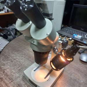 현미경 쌍안실체현미경