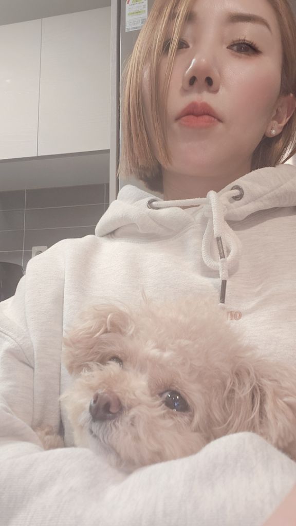 프로파일