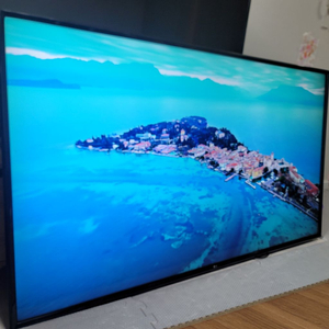 LG 65 4K(HDR10)스마트 TV