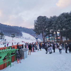 지산시즌권 전일권 판매