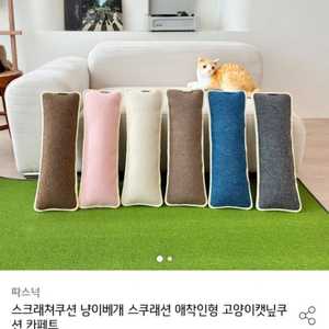 고양이 쿠션형 스크래쳐