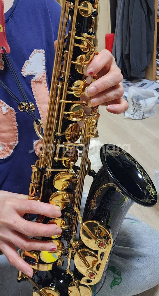 푸랑스부랜드 셀마 (SELMER) 알토색소폰--6