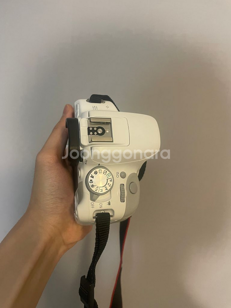 캐논 eos 100d 화이트 (734컷)--4