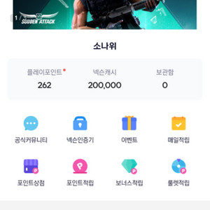 충전된 넥슨캐시 20만원 17에 팝니다