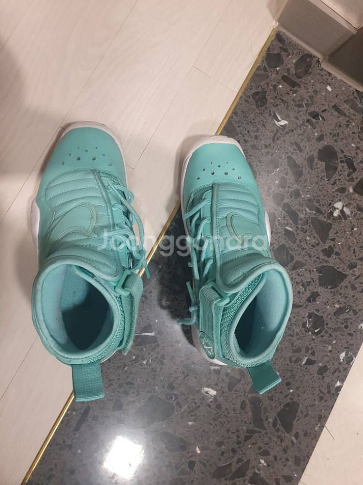 나이키 농구화 에어 쉐이크 앤디스트럭트 Nike Ai--1