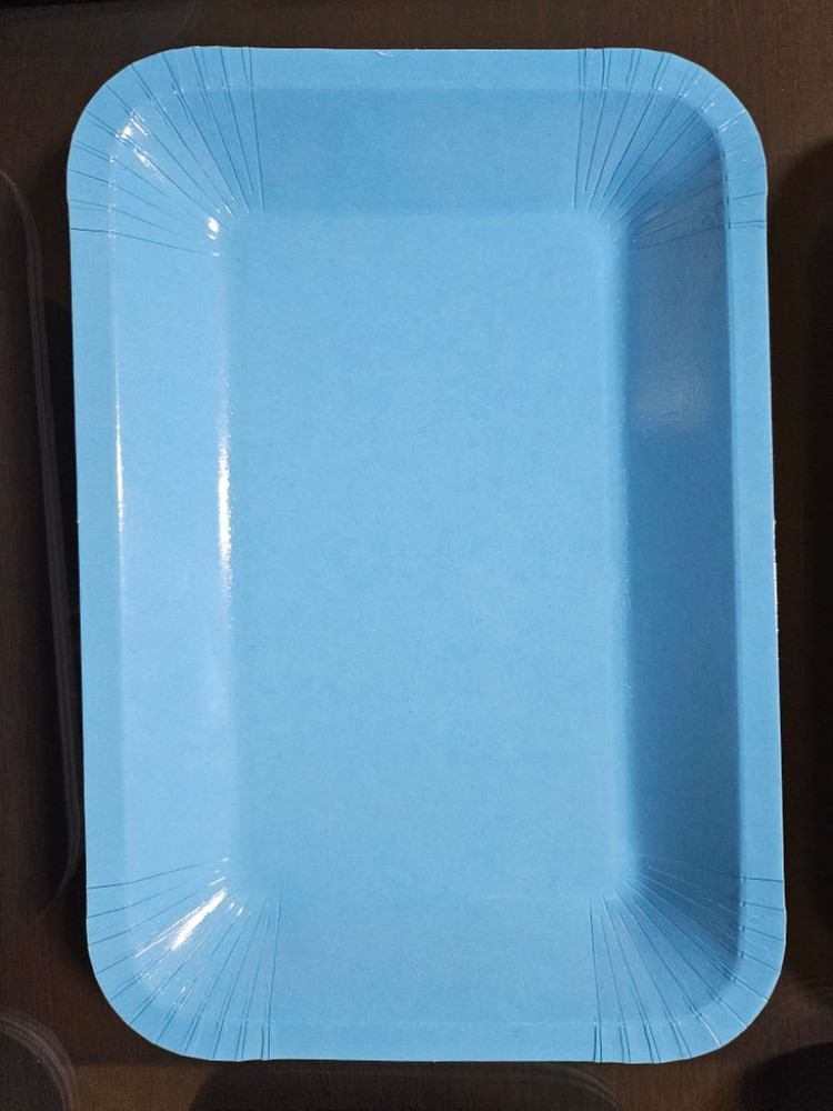 스킨포장기 페이퍼트레이--1