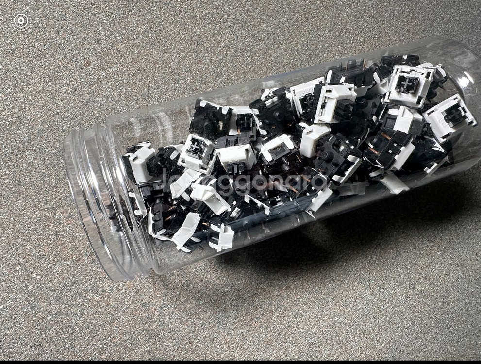 앱코 피이노 축 70개--1