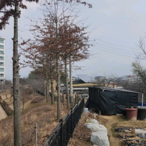 산림기능사 필기 교재 삽니다