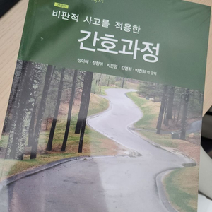 비판적 사고를 적용한 간호과정 새책 수문사