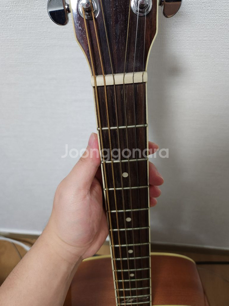 Plug Music 통기타--4
