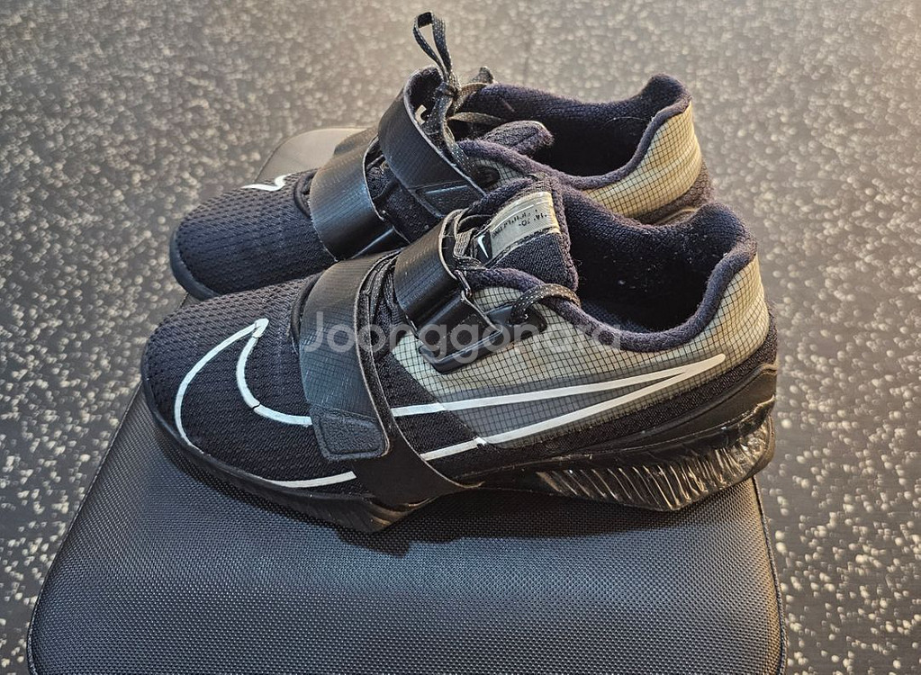 로말레오4 역도화 250--0