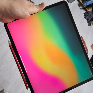 아이패드프로3세대 12.9 인치 256G LTE+WiF