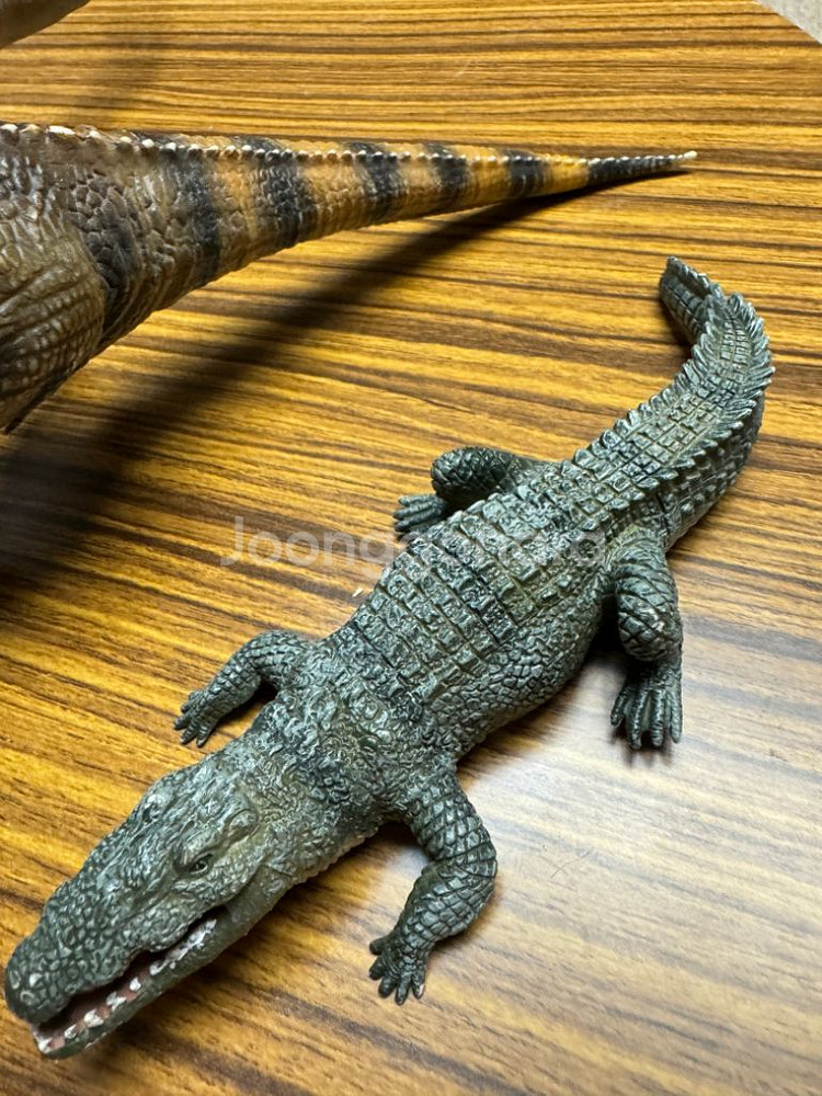 파포, 콜렉타 외 공룡피규어 5종--4