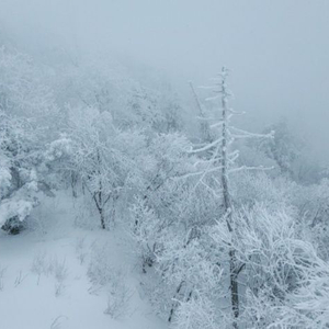 용평 리조트 리프트 주간권