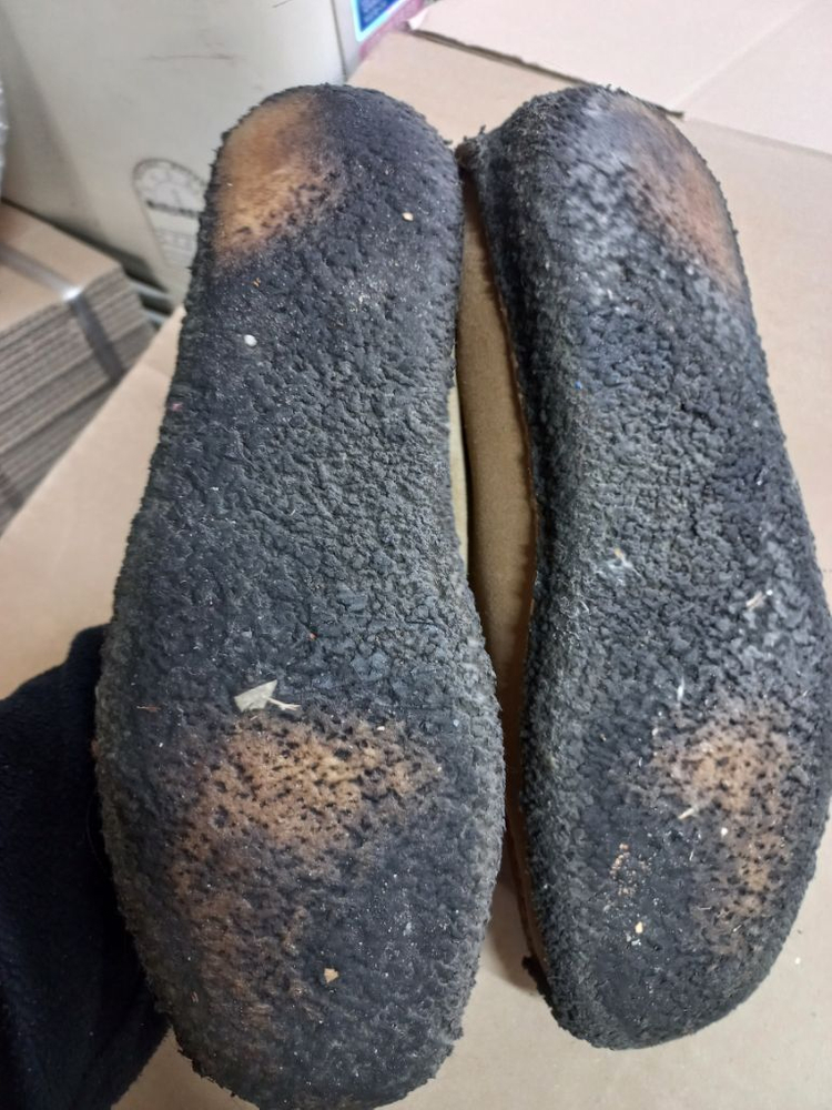 클락스 6 1/2 사이즈 이미지