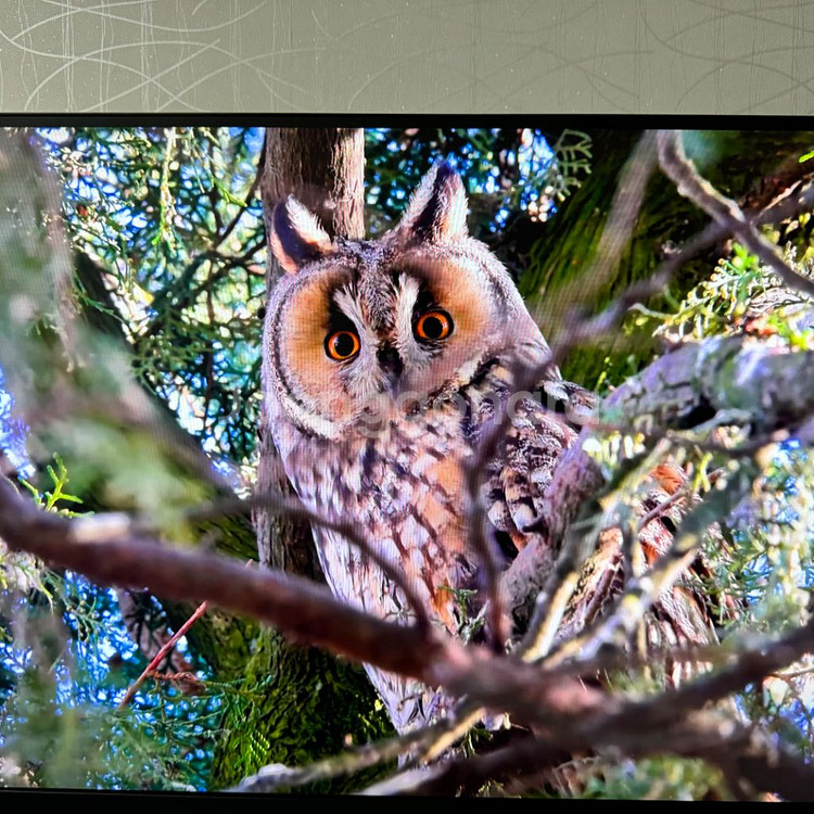 LG 32gp850 모니터 판매합니다--9