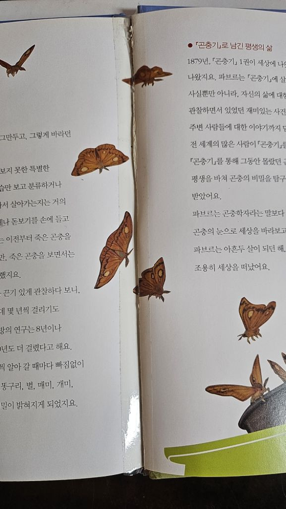 웅진북클럽 첫인물 그림책 이담에 세트 이미지