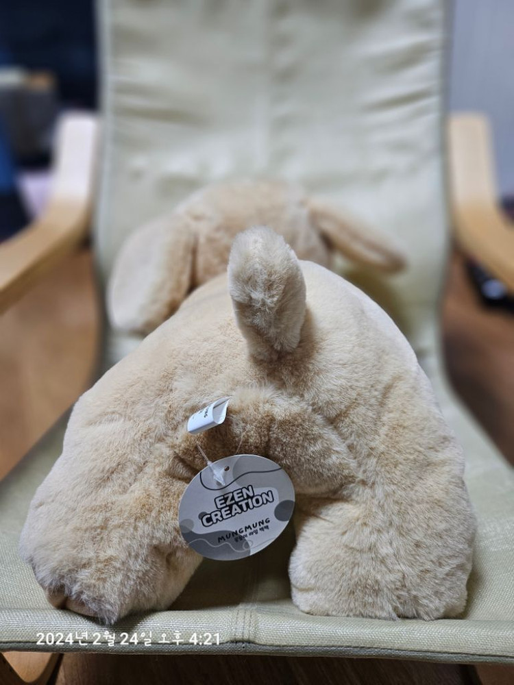 (새제품)강아지 백팩 두마리 이미지