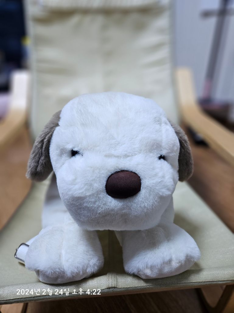 (새제품)강아지 백팩 두마리 이미지