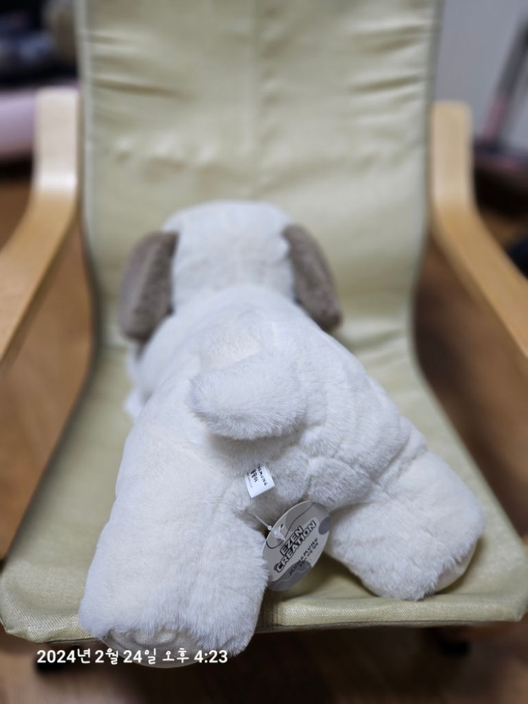 (새제품)강아지 백팩 두마리 이미지