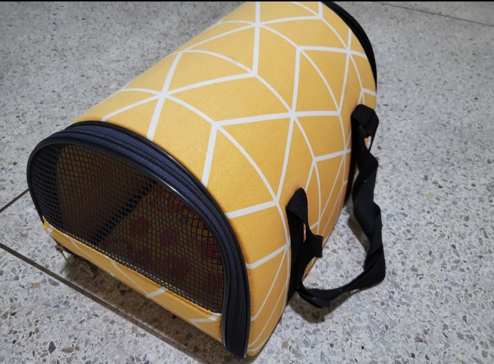 강아지이동가방 애견용품--2