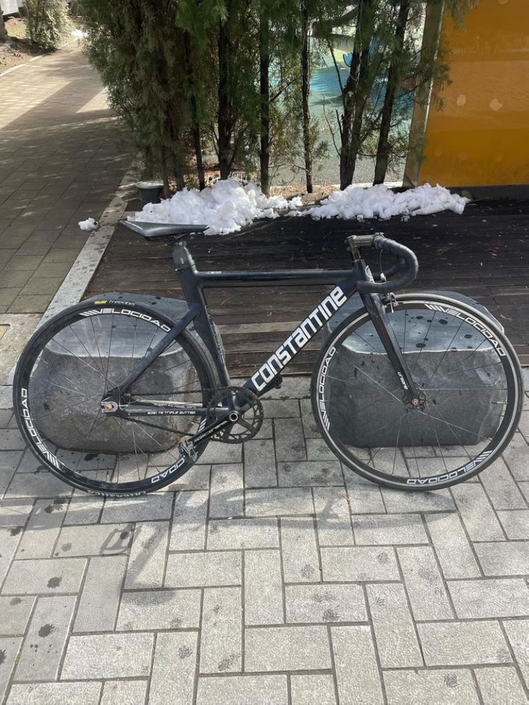 콘스탄틴 어베인 픽시 판매합니다 이미지