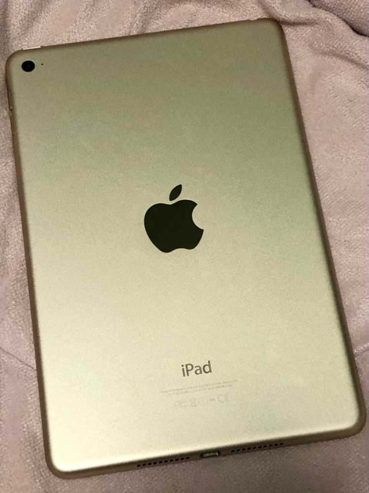 아이패드 미니4 16기가 와이파이 골드 이미지