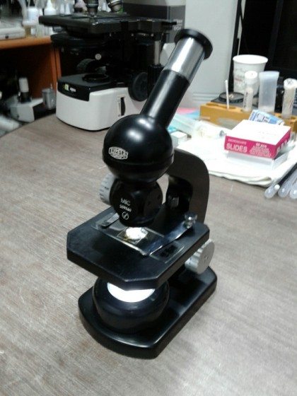 OLYMPUS LED 생물현미경 이미지