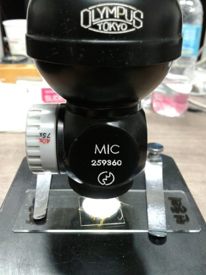 OLYMPUS LED 생물현미경 이미지
