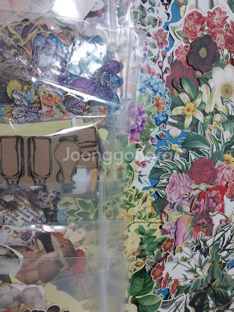 빈티지다꾸 랜덤--5