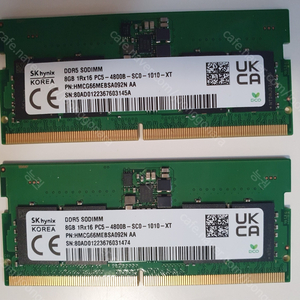 하이닉스 DDR5 램 8G 2개 [택포 25000]