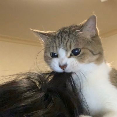 profile-image
