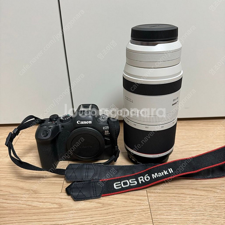 캐논 canon 알육막투 r6mark2 | 미러리스 | 중고나라
