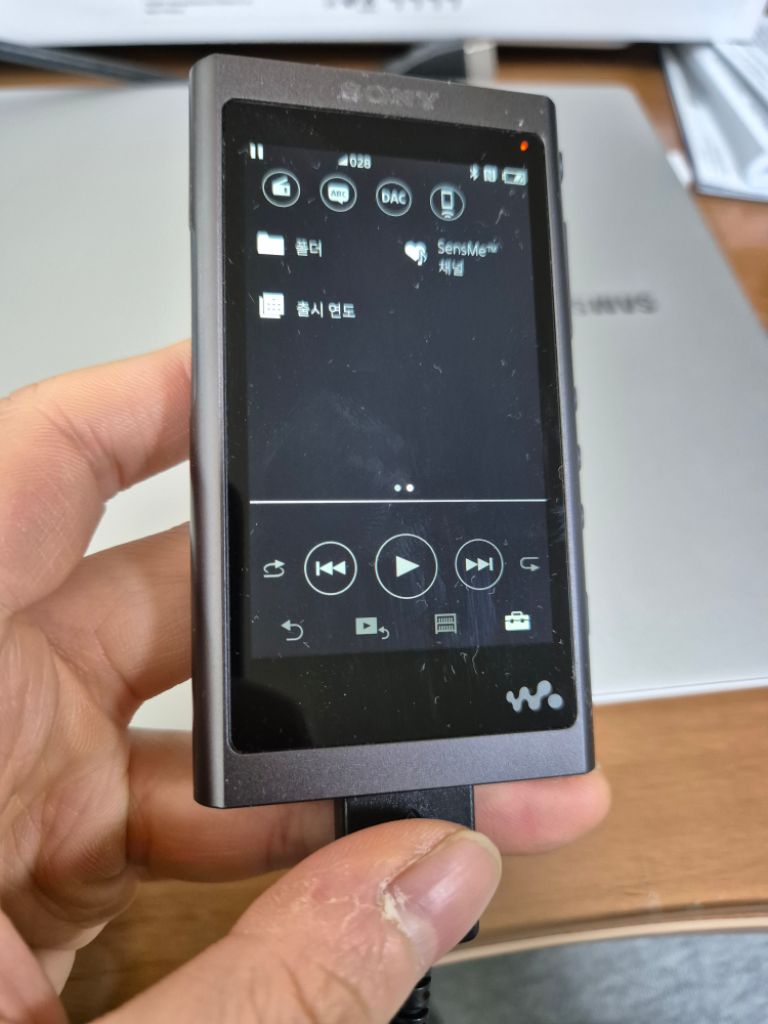 소니 워크맨 NW-A55 (MP3 플레이어)
