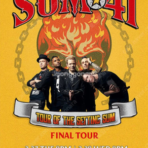 sum41 콘서트 스텐딩석 판매합니다 수요일입니다