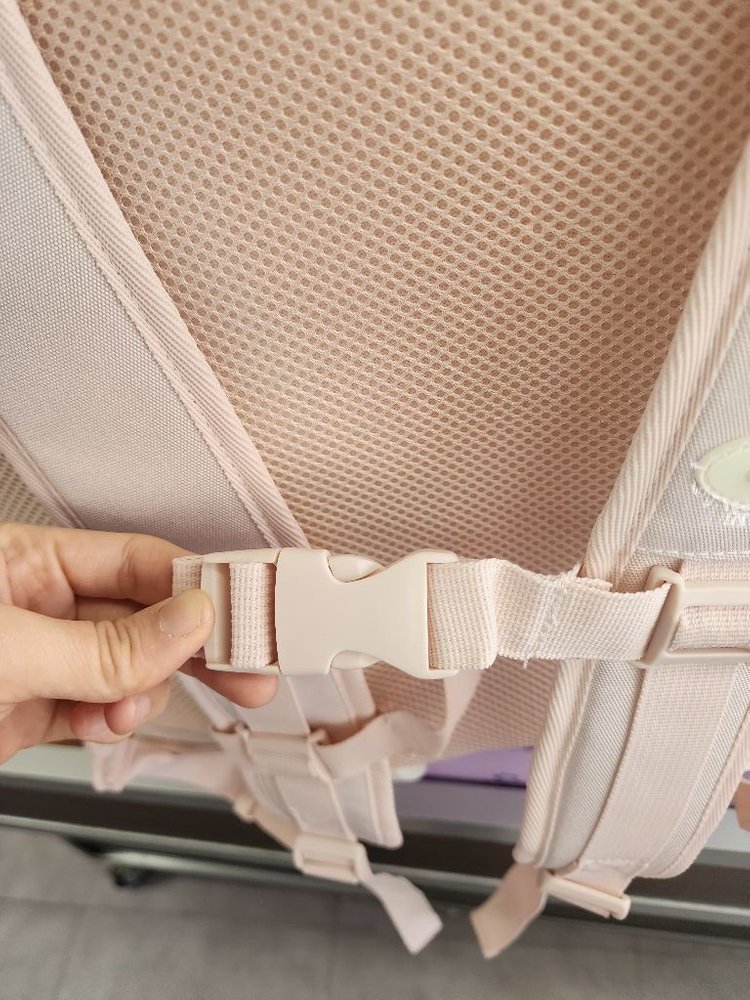 강아지고양이 가방 겸 캐리어 이미지