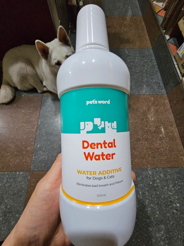 펫츠워드 강아지 고양이 덴탈워터 입냄새 치석제거 이미지