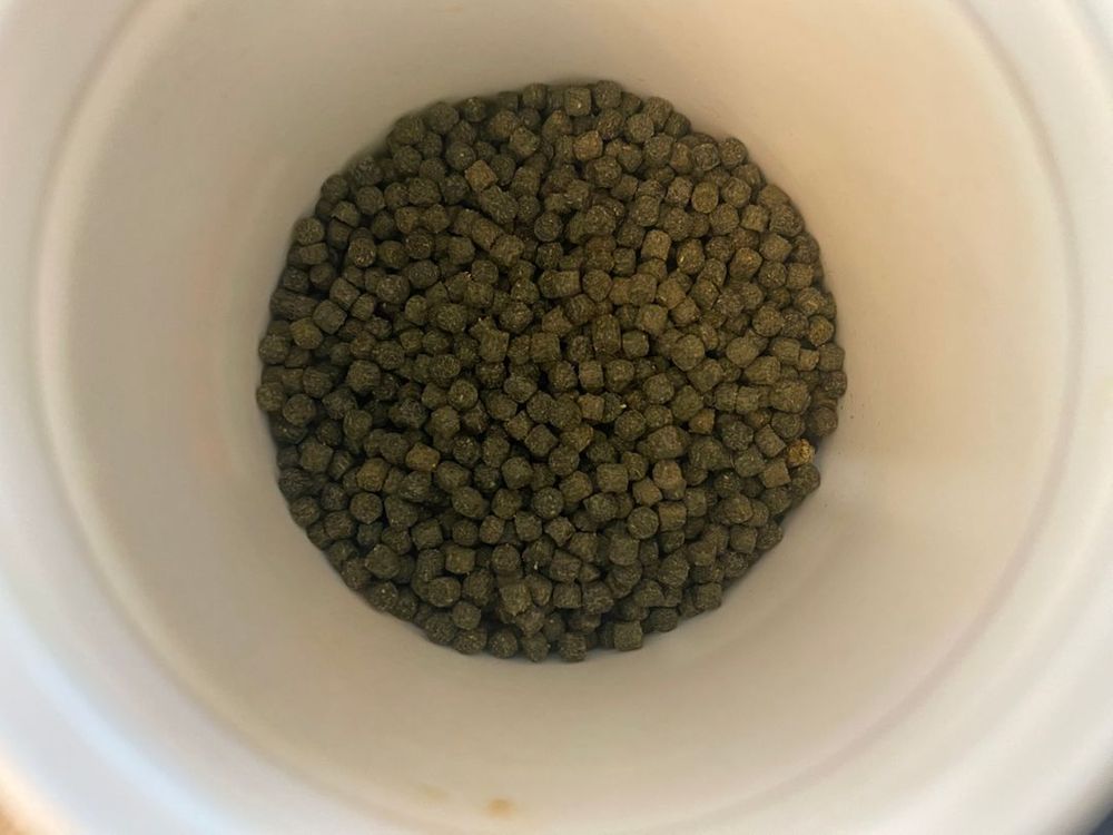 [열대어사료] 타이요 비트, 아트 탕가니카, 박테리아제--1