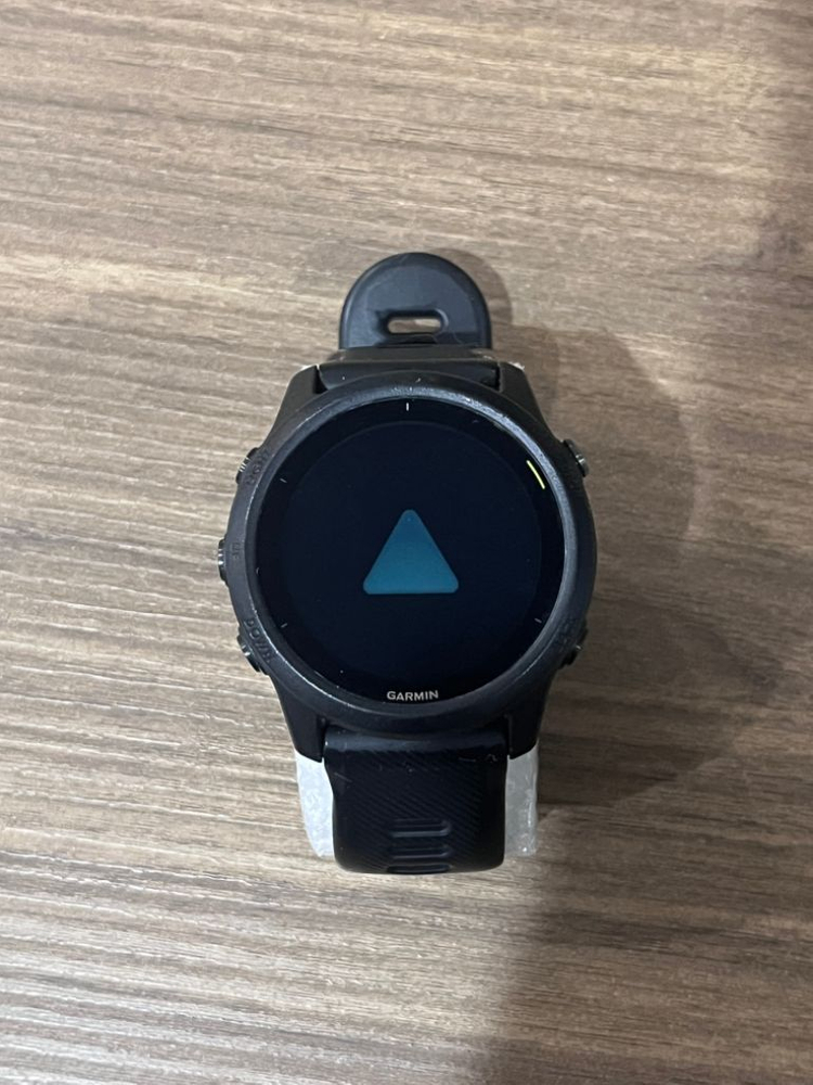 가민 포러너 745 이미지