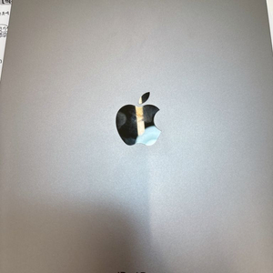 아이패드 프로 11인치 m2 셀룰러 128기가