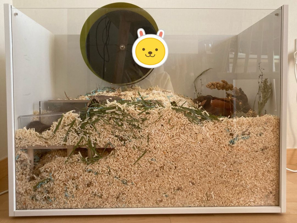 행햄케 햄스터케이지 판매합니다 (80x43x60) 이미지