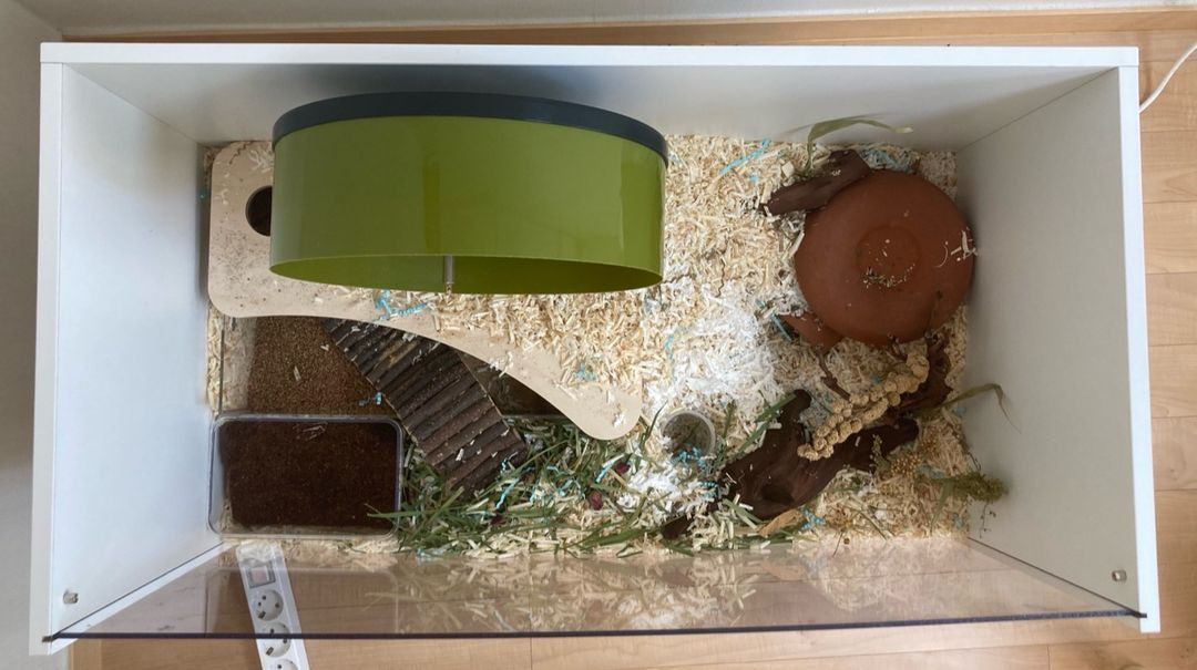 행햄케 햄스터케이지 판매합니다 (80x43x60) 이미지